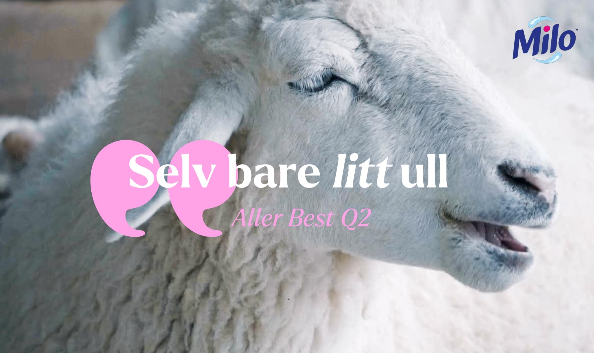 Case: Selv bare litt ull. Kunde: Orkla Home & Personal Care. Mediebyrå: OMD